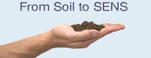 Hand_soil_d.png